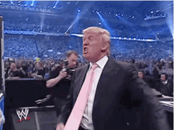 Donald Trump WWE Wrestler GIF