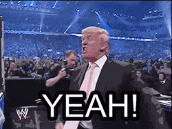 Donald Trump Wwe Yeah Meme GIF