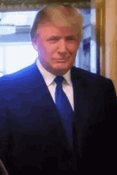 Donald Trump You Got It Nice Job GIF