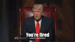 Donald Trump You're Fired Apprentice GIF