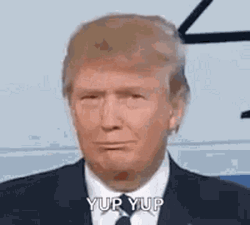 Donald Trump Yup Yup GIF