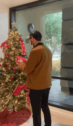 Donation For Christmas GIF