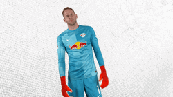 Done And Done Péter Gulácsi Wearing Red Bull Jersey GIF