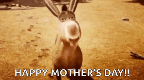 Donkey From Shrek Happy Mothers Day GIF