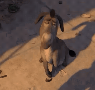Donkey From Shrek Sitting Looking Up GIF