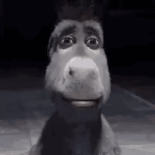 Donkey From Shrek Smiling In Dark GIF