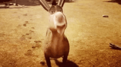 Donkey From Shrek Standing On Dirt Field GIF
