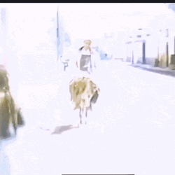 Donkey Hurry Up GIF