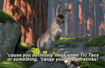 Donkey In Forest Saying Breath Stinks GIF