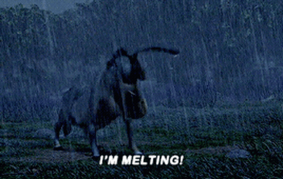 Donkey In Rain Saying I'm Melting GIF