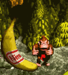 Donkey Kong Country Banana Win
