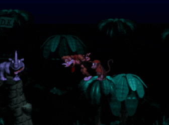 Donkey Kong Diddy Kong GIF