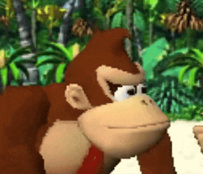 Donkey Kong Dk GIF