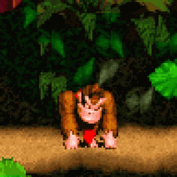 Donkey Kong Dkc3 Disappointed Smh