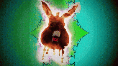 Donkey Painting With Open Mouth GIF