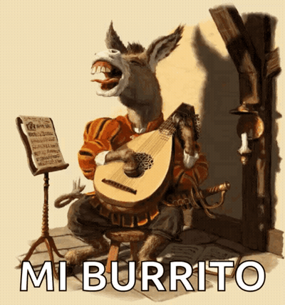 Donkey Playing Musical Instrument Mi Burrito GIF