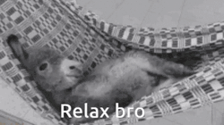Donkey Relax Bro GIF