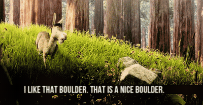 Donkey Saying I Like That Boulder Nice Boulder GIF