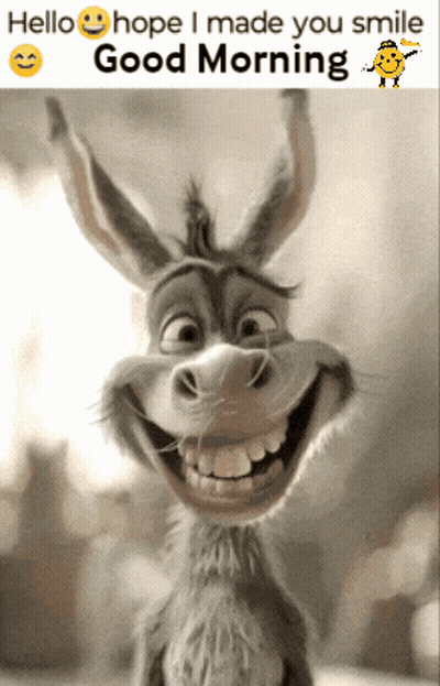 Donkey Smiling Hello Hope I Made You Smile Good Morning GIF