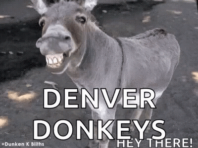 Donkey Smiling On Dirt Road GIF