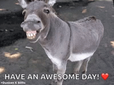 Donkey Standing In Dirt Have An Awesome Day GIF