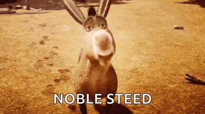 Donkey Standing In Dirt Noble Steed GIF