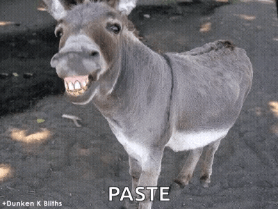 Donkey Standing In Dirt Saying Paste GIF