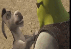 Donkey Talking To Mad Shrek GIF