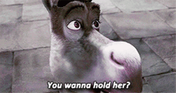 Donkey Teasing Shrek Woman Love  GIF