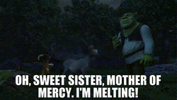 Donkey To Shrek I'm Melting Movie Scene GIF