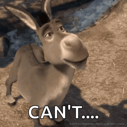 Donkey With Cant T Words GIF