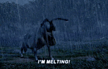 Donkey Yelling Under The Rain I'm Melting GIF