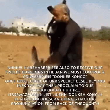 Donkeys Looking Out Window With Smart GIF