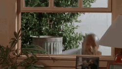 Dont Be A Menace Bald Says Message GIF