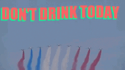 Dont Drink Today On Bastille Day GIF