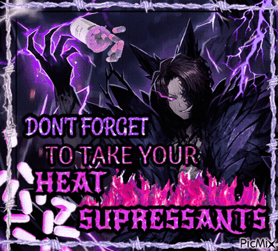 Dont Forget To Take Your Heat Poster GIF