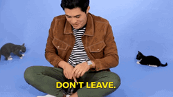 Dont Leave Me Excited Furdad GIF