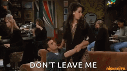 Dont Leave Me Matthew Perry Friends GIF