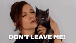 Dont Leave Me Miss Kitty Cuddling Black Cat GIF