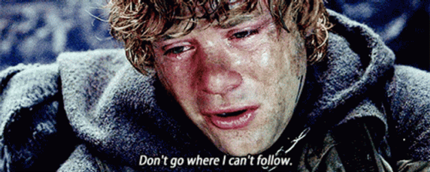 Dont Leave Me Samwise Gamgee LOTR GIF
