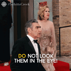 Dont Look At Me David Rose Schitts Creek GIF