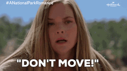 Dont Move Cindy Busby GIF