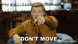 Dont Move Singer Morgan Wallen GIF