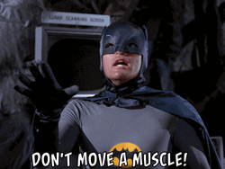 Dont Move Vintage Adam West Batman GIF