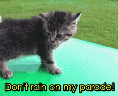 Dont Rain On My Parade Funny Animals GIF