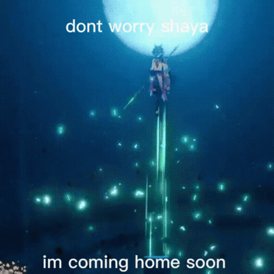 Dont Worry Shaya Im Coming Home Poster GIF