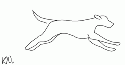 Doodle Dog Running GIF