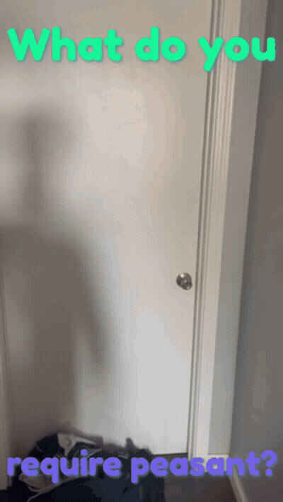 Door Saying What Do You Require Peasant GIF