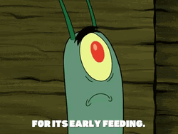 Dope Cartoon Plankton Shocked GIF