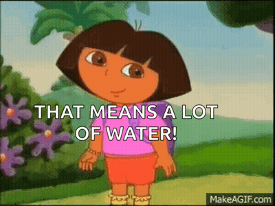 Dora The Explorer Says That Means A Lot Of Water On Make A Gif